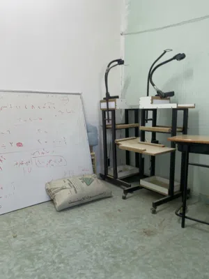 مثبت مصحف مع ليت ات كشاف