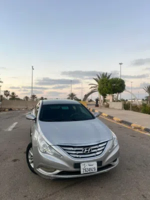 هيواندي سوناتا 2012
