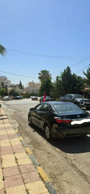 Used Toyota Corolla in Amman