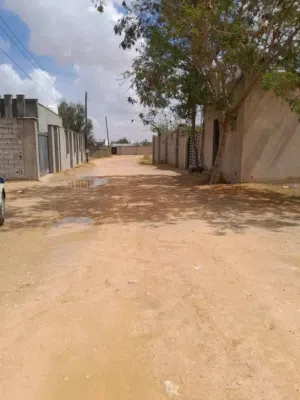 يوجد 1000متر في بن عزيز تقع  مابين منطقة النعم والقيو خلف مسجد بن عزيز تبعد 150متر تقريبا علي الطريق