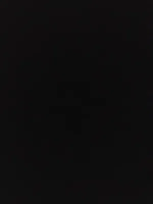 طير بنجابي للبدل