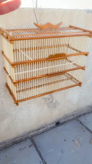 متاح قفص بلبل اقوه الوصف كلش مذكور بيه