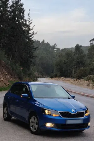 Used Skoda Fabia in Hebron
