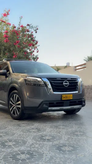 باثفندر بلاتينيوم 2022 بنظافة مميزة