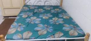 New Bed with mattress - orthopedic