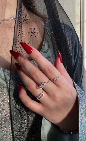 الزيديه 
