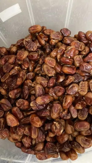تمور فاخره من نوع خلاص فقط 400بيسه للكيلو