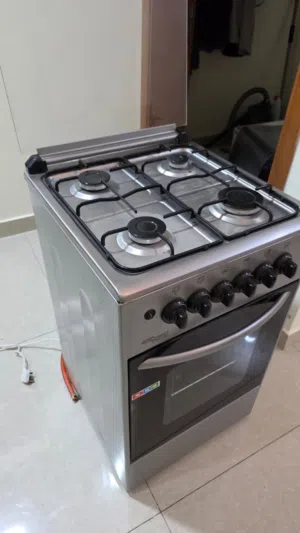Gas stove with oven