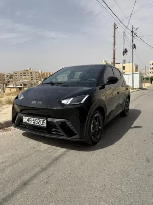 BYD Seagull - 2024 - بي واي دي سيجل