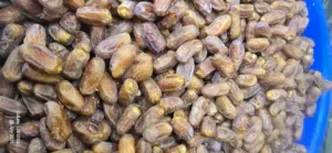 Dates for sale  تمور مختلف الأصناف للبيع