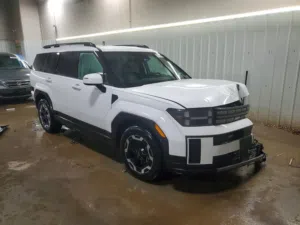 Hyundai Santa Fe 2024