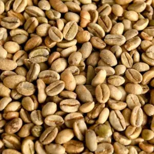 يوجد لدينا بن مختص او تجاري (( بالجمله او تجزئه ))
