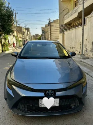 Used Toyota Corolla in Baghdad