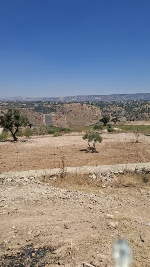 Farm Land for Sale in Salt Al Balqa'