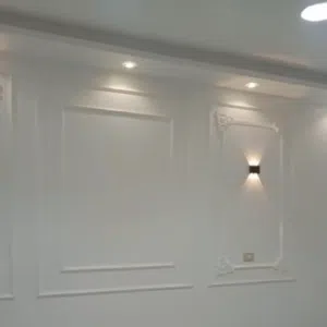 ابو شوقي 