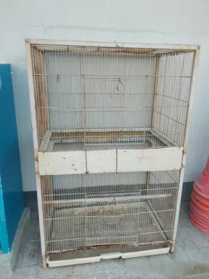 قفص حديد بصحه جيده