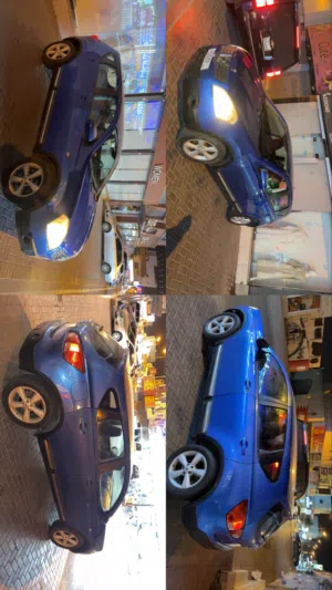 قشقاي للبيع