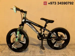 For sale cycle 20 size everything is working full condition aluminum wheels