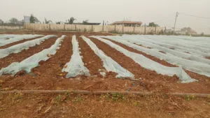 أرض للبيع 2 دونم طابو نابلس A النصارية/سعر الدونم 40 الف دينار من المالك مباشرة