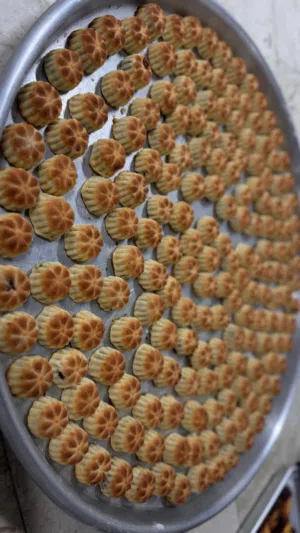 نواشف فاخرة