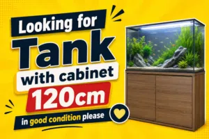Looking for big tank