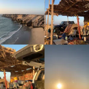 ًًًً………. 