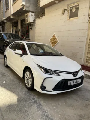 كورلا بيع او مراوس حسب القناعة