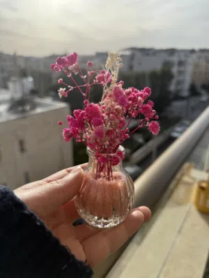مزهرية حجم اكسترا ميني