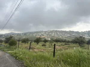 Residential Land for Sale in Amman Shafa Badran