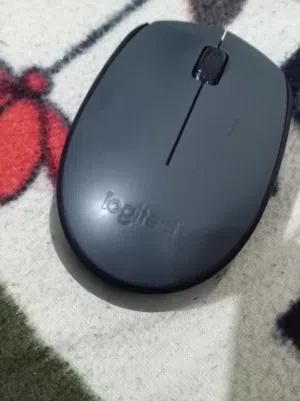 ماسو ( فأره) ويرلس جديد