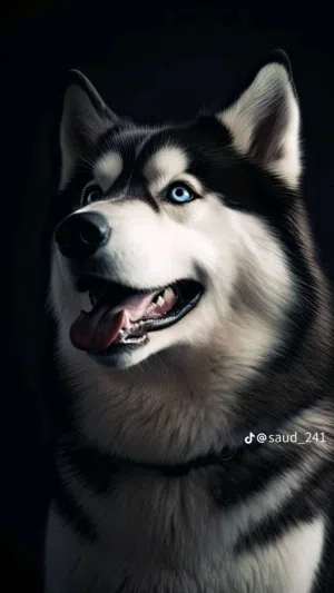 عبد المعين النعاجي 