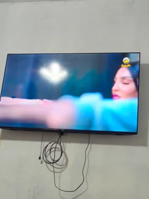 شاشة التلفزيون