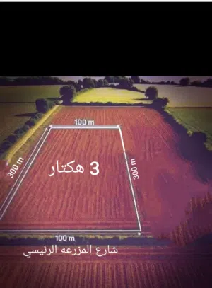مزرعه 3 هكتار في بوهادي الضبعي قرب شركة العين