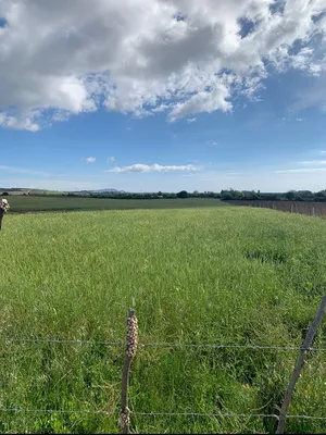 Farm . 4000 m2 . Landlord4