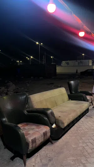تخم قنفات 4 قطع نضيفات وقويات