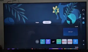 Samsung tv 65