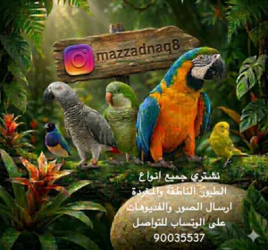 Mzzadnaq8 