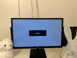 LG 24” Monitor – 24MK430H-B