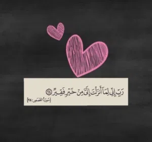 Said Alshamsi 