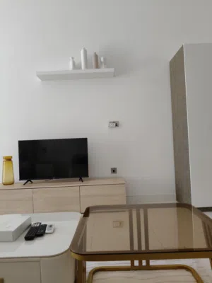 Home maintenance or renovation services