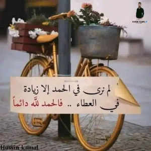 اسماعيل امين المحامى
