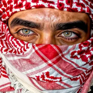saliman 