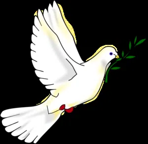 محمد الخضر 