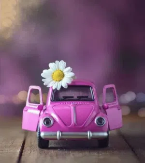 عبد الرحمن عمر