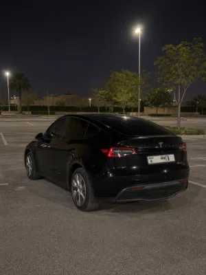 Used Tesla Model Y in Sharjah
