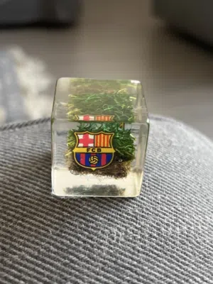 A piece of grass from the old Barcelona camp nou