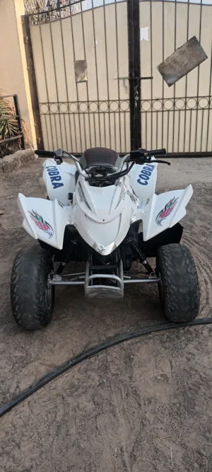 cobra 100cc Korean automatic gear
