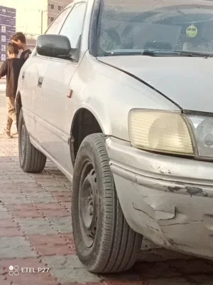 أبو فارس 