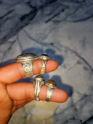 محابس للبع