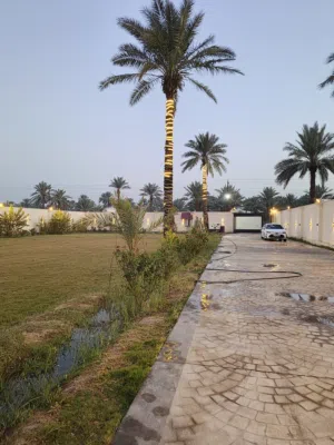 1 Bedroom . Furnished . Daily1